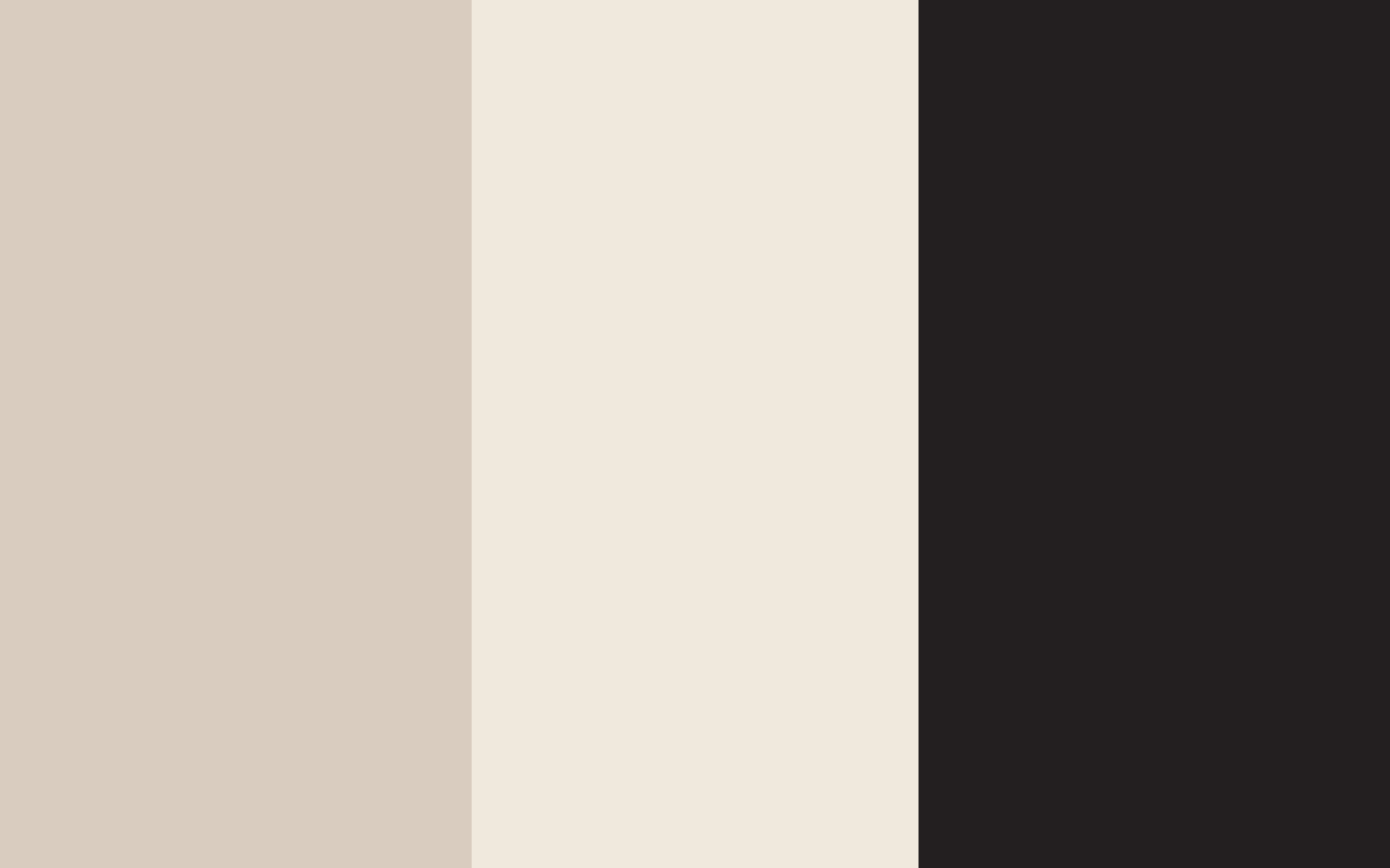 Brand guide colors for a social media marketing agency in SWFL